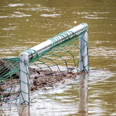 Kampf gegen Hochwasser und Überschwemmung - ist die Schwammstadt die Lösung?