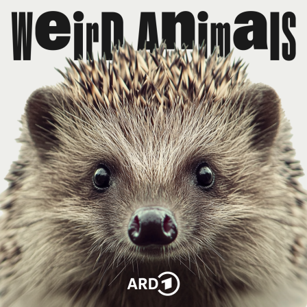 Cover Weird Animals Folge 22 Igel