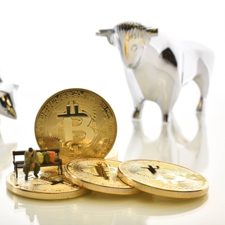 Symbolbild Broker nach Aktiencrash, digitale Währung, goldene physische Münze Bitcoin, Bulle und Bär