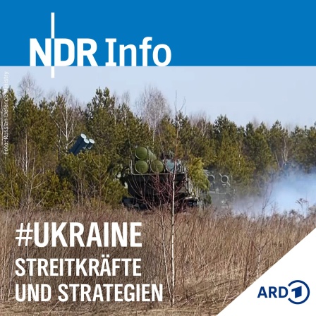Russische Streitkräfte in der Ukraine