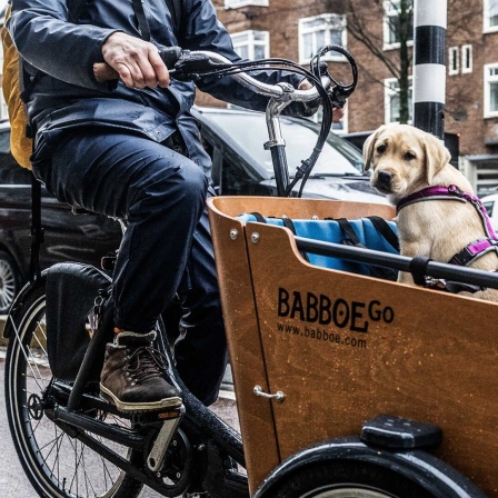 Ein Lastenfahrrad von Babboe.