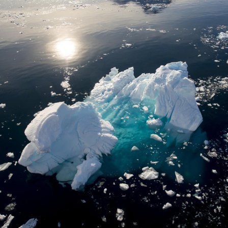 Die Antarktis im Wandel - Die Klimakrise und ihre Folgen