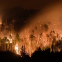 Blick auf den Waldbrand im tschechischen Nationalpark Böhmische Schweiz in Hrensko nahe der Grenze zu Sachsen