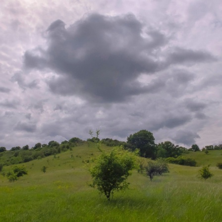 Gewitterwolken