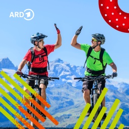 Zwei Mountainbikefahrer reichen sich auf einem erklommenen Berggipfel freudig und stolz die Hände.