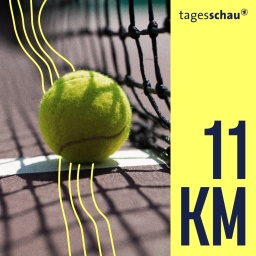 Ein Tennisball liegt auf dem Platz. 