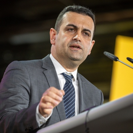 Bijan Djir-Sarai, FDP-Generalsekretär