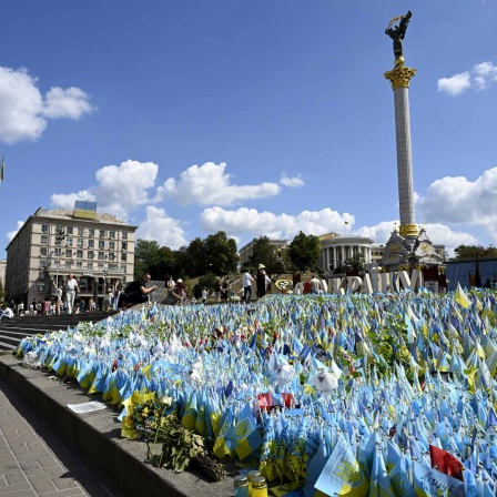 Am ukrainischen Unahbhängigkeitstag stehen viele kleine Flaggen auf dem Maidan in Kiew 