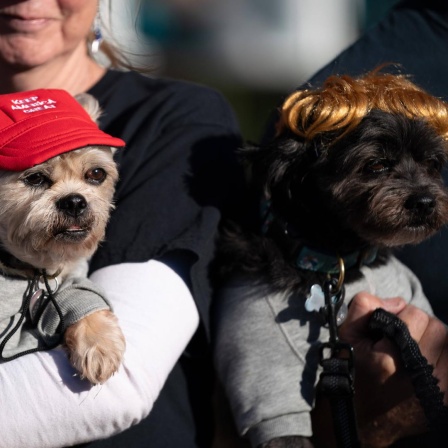 Trump-Unterstützer mit ihren Hunden auf dem Arm. Einer der Hunde trägt eine MAGA-Cap, der andere trägt eine blonde Perücke.