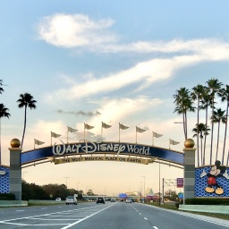 Die Einfahrt zu Disneyland