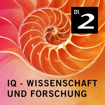 Tagen für das Weltklima - IPCC-Bericht wird erarbeitet