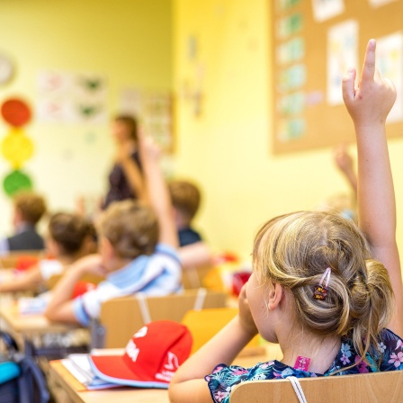 Neu in die Umweltgrundschule Cottbus Dissenchen eingeschulte Kinder beteiligen sich an der ersten Unterrichtsstunde. 2022