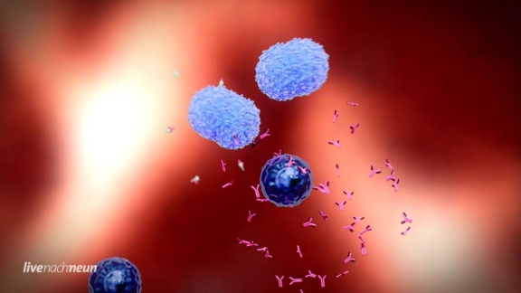 Live Nach Neun - Antikörper-test Im Selbstversuch - Ab Wann Ist Man Wirklich Immun.