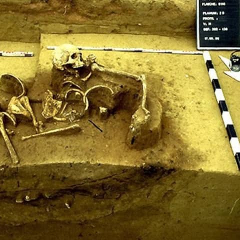 Skelettreste liegen im sogenannten Doppelgraben in Herxheim