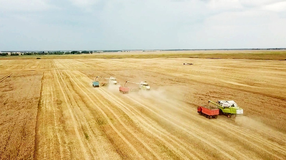 Unser Land: Landwirtschaft in Russland und der Ukraine | ARD Mediathek