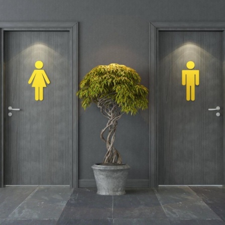 Zwei Türen mit jeweils einem gelben Zeichen, welches für Männer oder Frauen stehen soll. Dazwischen steht eine Pflanze.