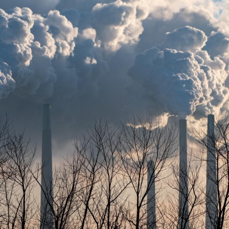 Rauchwolken steigen aus riesigen Industrieschornsteinen auf.