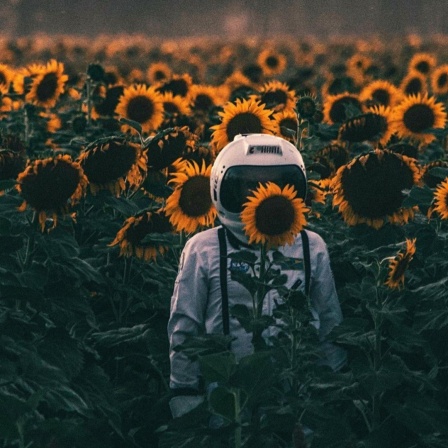 Ein Astronaut steht in einem Sonnenblumenfeld.