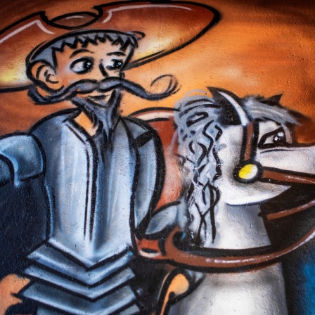 Don Quixote von Strauss mit Gebrauchsanweisung