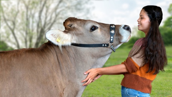 Tiere Bis Unters Dach - Das Kuhduell (s10/e11)