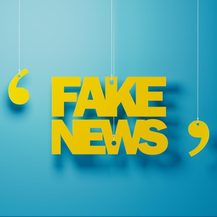 Gelbe Buchstaben hängen vor einer blauen Wand und formen das Wort "Fake News" in Anführungen