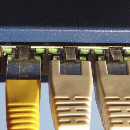 Mehrere Kabel stecken in einem Router.