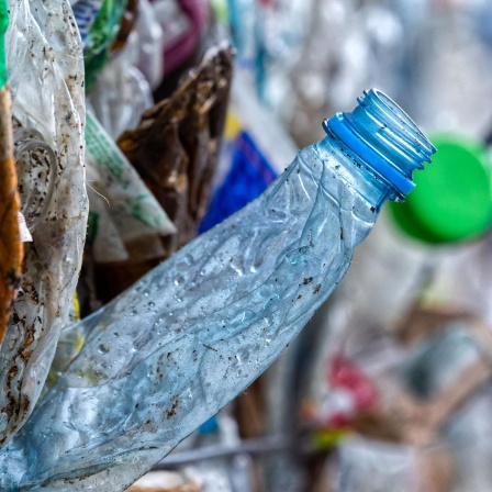 Plastikproblem: Mülltrennen ist nicht alles