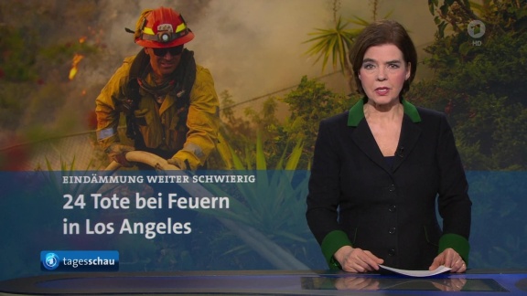 Tagesschau - Tagesschau 09:00 Uhr, 13.01.2025