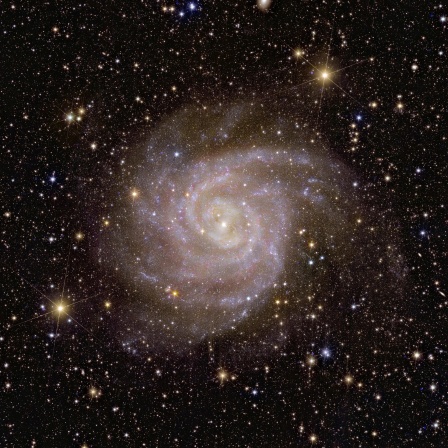 Aufnahme vom Euclid-Teleskop: Perseus-Cluster, eine Ansammlung von Galaxien, die 240 Millionen Lichtjahre entfernt liegt. Bei den schimmernden Flecken im Bild handelt es sich nicht um Sterne, sondern um Galaxien, von denen einige noch nie zuvor beobachtet wurden.