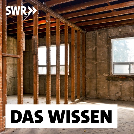 Sanierung und Innenausbau eines alten Gebäudes: Nachhaltig wäre, Immobilien möglichst langfristig zu nutzen. Bisher sind Abriss und Neubau aber oft lukrativer. Initiativen fordern ein Umdenken.