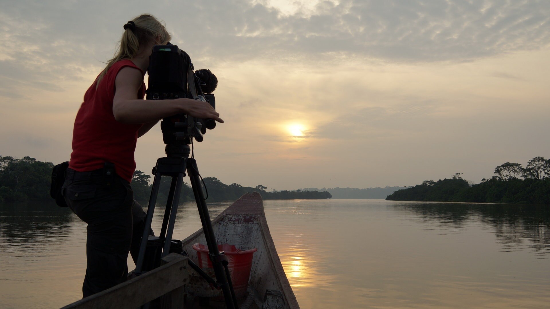 Expeditionen ins Tierreich: Abenteuer Kongo | ARD Mediathek