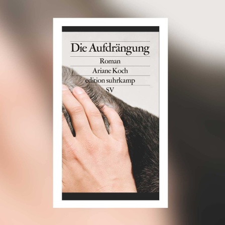 Ariane Koch - Die Aufdrängung