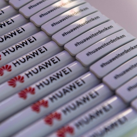Kugelschreiber des Konzerns Huawei liegen in einer Reihe.