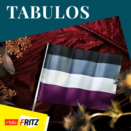 Das Bild zeigt die Flagge für Menschen, die sich als asexuell definieren (Lilly Extra | Fritz)