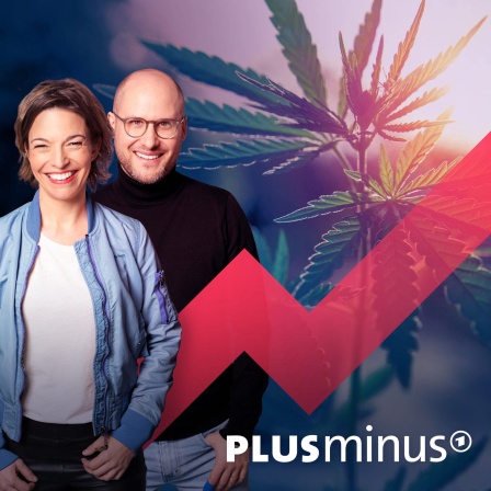 Cannabis ist seit April teilweise legal. Hanf wie hier im Bild darf unter bestimmten Voraussetzungen angebaut werden. Aber dämmt diese Legalisierung auch die Kriminalität ein, oder bleiben Dealer und Drogenmafia im Geschäft? Unsere Recherchen zeigen, wo das Canabisgesetz Schwächen hat, die für uns alle teuer werden könnten.