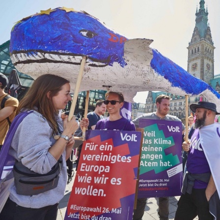 Teilnehmer der Demonstration des Hamburger Bündnisses "Ein Europa für Alle - Deine Stimme gegen Nationalismus" halten auf dem Rathausmarkt Transparente mit der Aufschrift: "Volt. Für ein vereinigtes Europa wie wir es wollen. Europawahl 26. Mai Jetzt bi