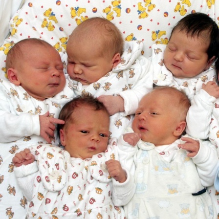 Auf der Neugeborenen-Station im Cottbuser Carl-Thiem-Klinikum ist jeden Tag Kindertag, aufgenommen am Mittwoch (31.05.2006). Seit Jahresanfang kamen hier 366 Mädchen und Jungen zur Welt.