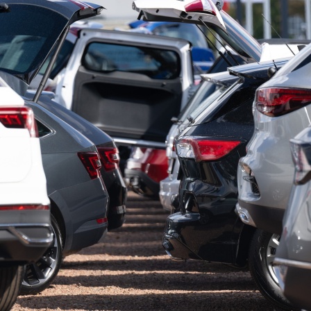 Neuwagen und Gebrauchtwagen stehen bei einem Autohändler nebeneinander