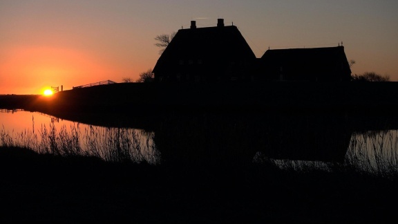 Echtes Leben - Echtes Leben: Ostern Auf Der Hallig