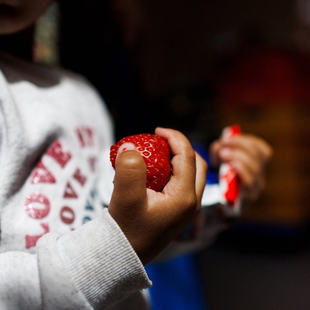 Ein kleines Kind hält eine Erdbeere und Schokolade in den Händen in einer Ausgabestelle der Berliner Tafel