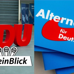 Logo CDU und AfD