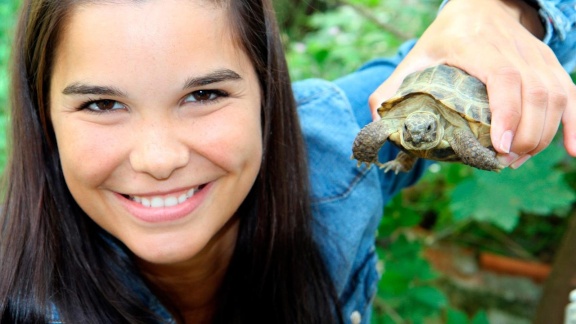 Anna, Pia Und Die Haustiere - Schildkröte