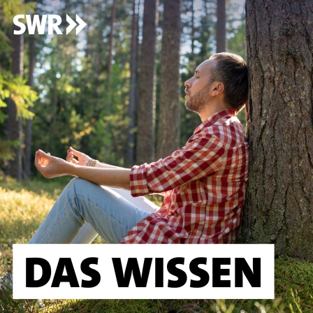Ein Mann sitzt an einem sonnigen Tag mit geschlossenen Augen unter einer Kiefer im Wald und meditiert: Die Hälfte der Deutschen fühlt sich erschöpft. Doch Erholung braucht mehr als nur Ruhe. Sie muss zu unseren Bedürfnissen passen.