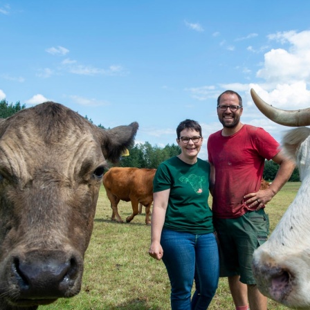 Anja Pötting und ihr Mann Marius auf der Kuhweide. 