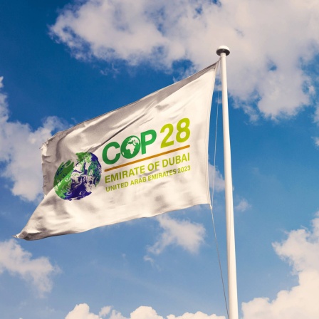 COP28 Fahne