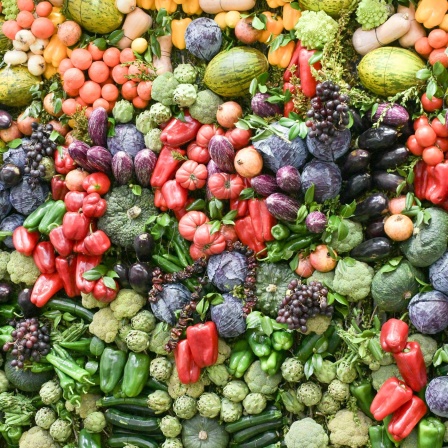 Paprika-Mosaik auf der Fruit Logistica