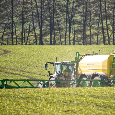 Die EU-Kommission entscheidet im Herbst über ihre Pestizid-Strategie: um die Natur zu schützen, soll der Einsatz von Pflanzenschutzmitteln halbiert werden. Ulrich Detsch hat nachgefragt, wie das funktionieren kann.