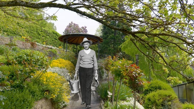 Collage von Adenauer in schwarz-weiß in seinem Garten