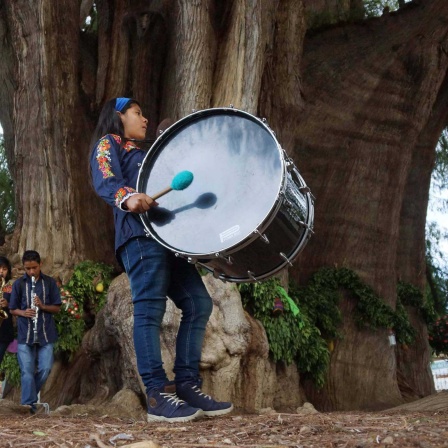 ARCHIV: Mexikaner*innen feiern den Baum von Tule (Arbol del Tule) (Bild: IMAGO IMAGES/Zuma Press) 