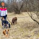 Tierreporterin Anna geht mit Hunden spazieren | Bild: BR / Text und Bild Medienproduktion GmbH & Co. KG
